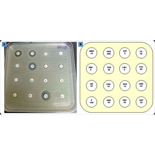 Carbapenem-resistant Gram-negative bacilli in tertiary hospitals of Niamey, Niger.