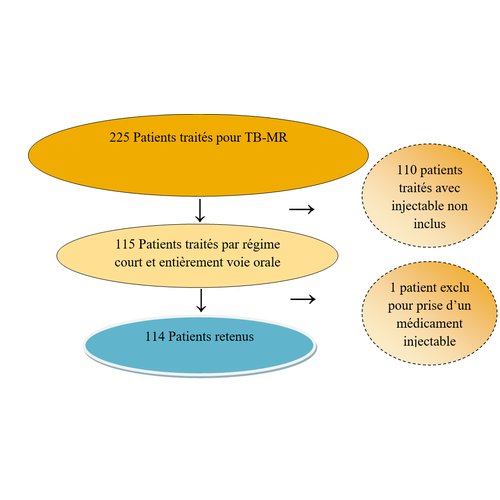 Profil des effets indésirables du nouveau schéma thérapeutique court oral de la tuberculose pharmacorésistante au Niger