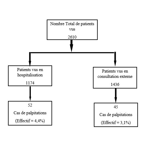 Profil épidémiologique, clinique, étiologique et thérapeutique des palpitations au service de cardiologie de l’Hôpital National Amirou Boubacar Diallo de Niamey (Niger)
