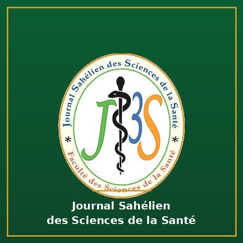 Seroprevalence of HBsAg and associated determinants among pregnant women in the 3rd municipal district of Zinder (Niger): a cross-sectional study